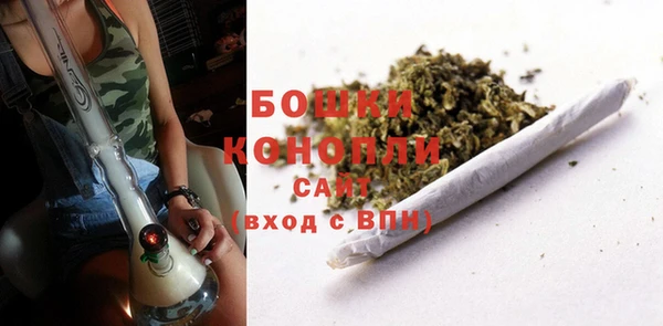 ГАЛЛЮЦИНОГЕННЫЕ ГРИБЫ Абаза