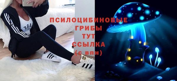 ГАЛЛЮЦИНОГЕННЫЕ ГРИБЫ Абаза