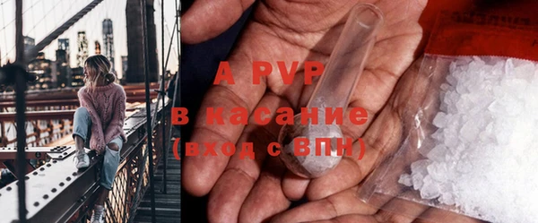 ГАЛЛЮЦИНОГЕННЫЕ ГРИБЫ Абаза