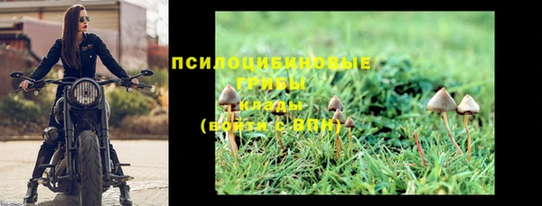 дмт Алексеевка