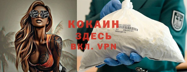 ГАЛЛЮЦИНОГЕННЫЕ ГРИБЫ Абаза